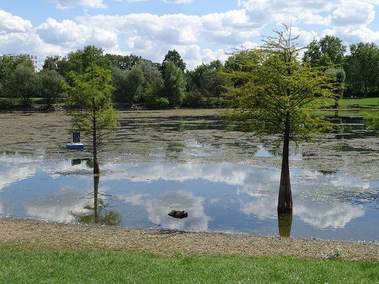 Neuer Rebstock Park