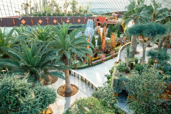 Serra Flower Dome