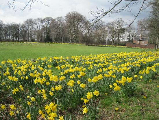 Clarkes Gardens