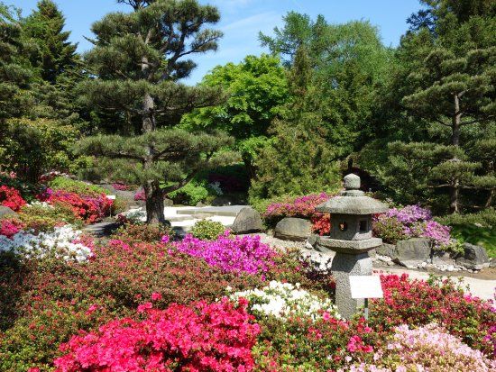 Loki Schmidt Garden