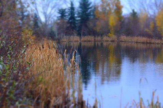 Muskoseepi Park