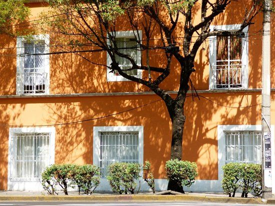 Colonia Roma