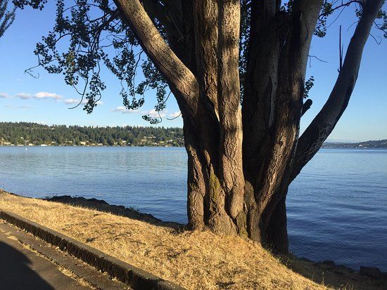 Seward Park