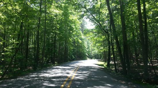Umstead State Park