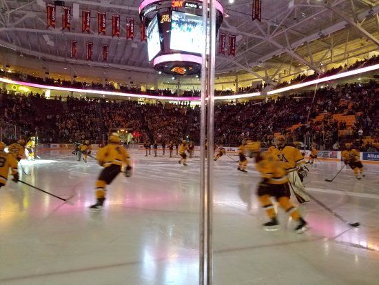 3M Arena at Mariucci