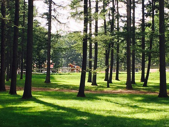 Northern Horse Park