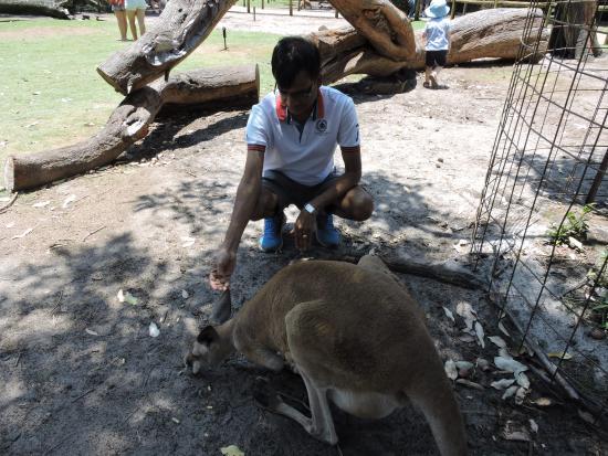 Caversham Wildlife Park