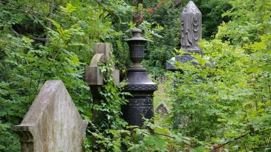 Cementerio de Arnos Vale