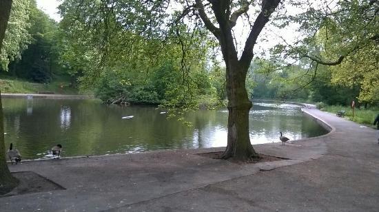 Ward End Park