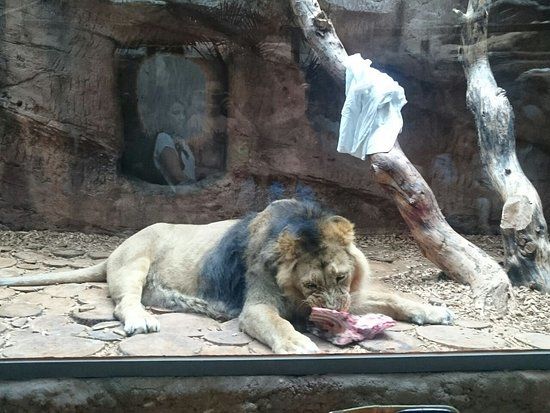 Nuremberg Zoo