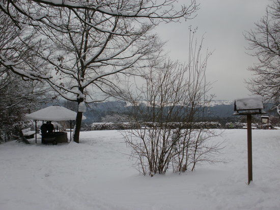 Uhlbergturm