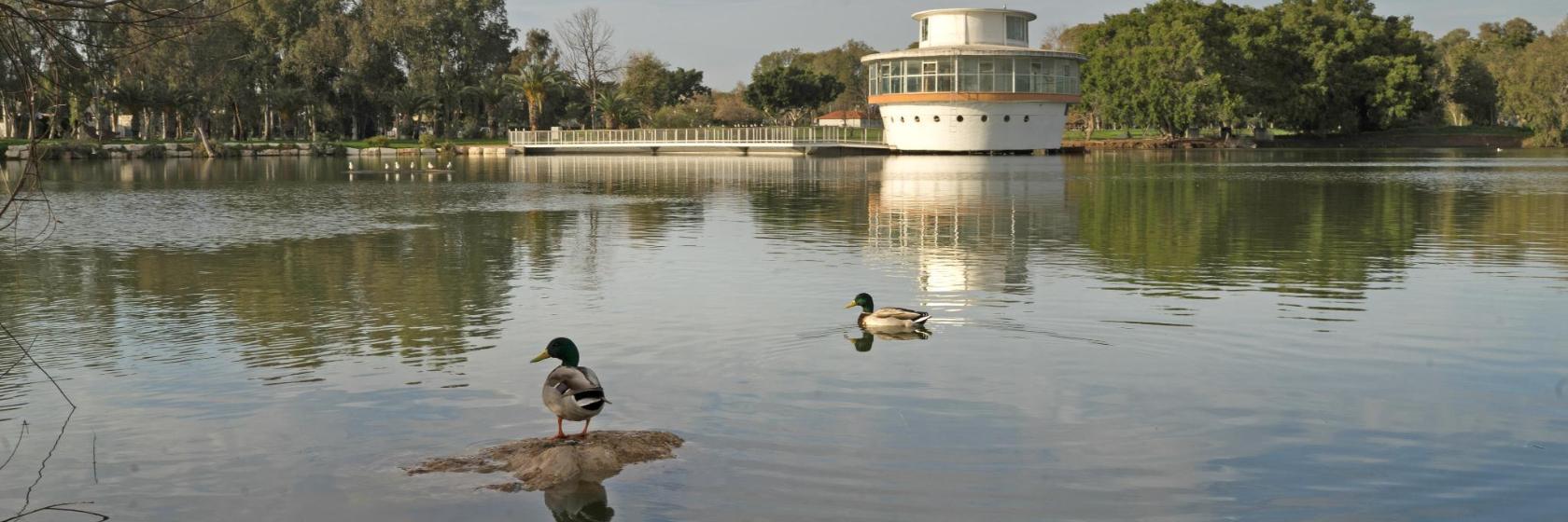 Safari Ramat Gan