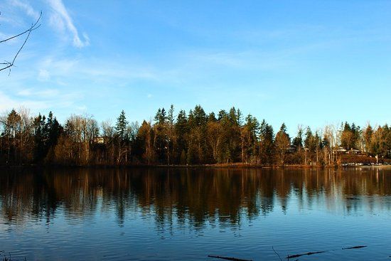 Mill Lake Park