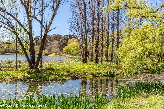 Commonwealth Park