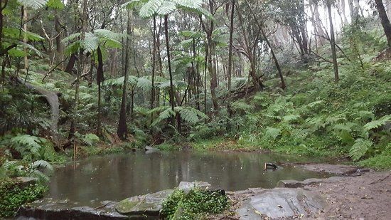 Cooper Park
