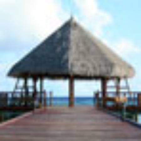 Niki Bar